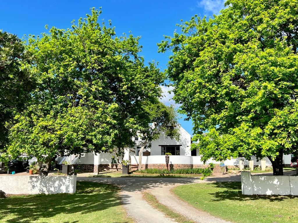Bitou River Lodge Plettenberg Bay Eksteriør billede