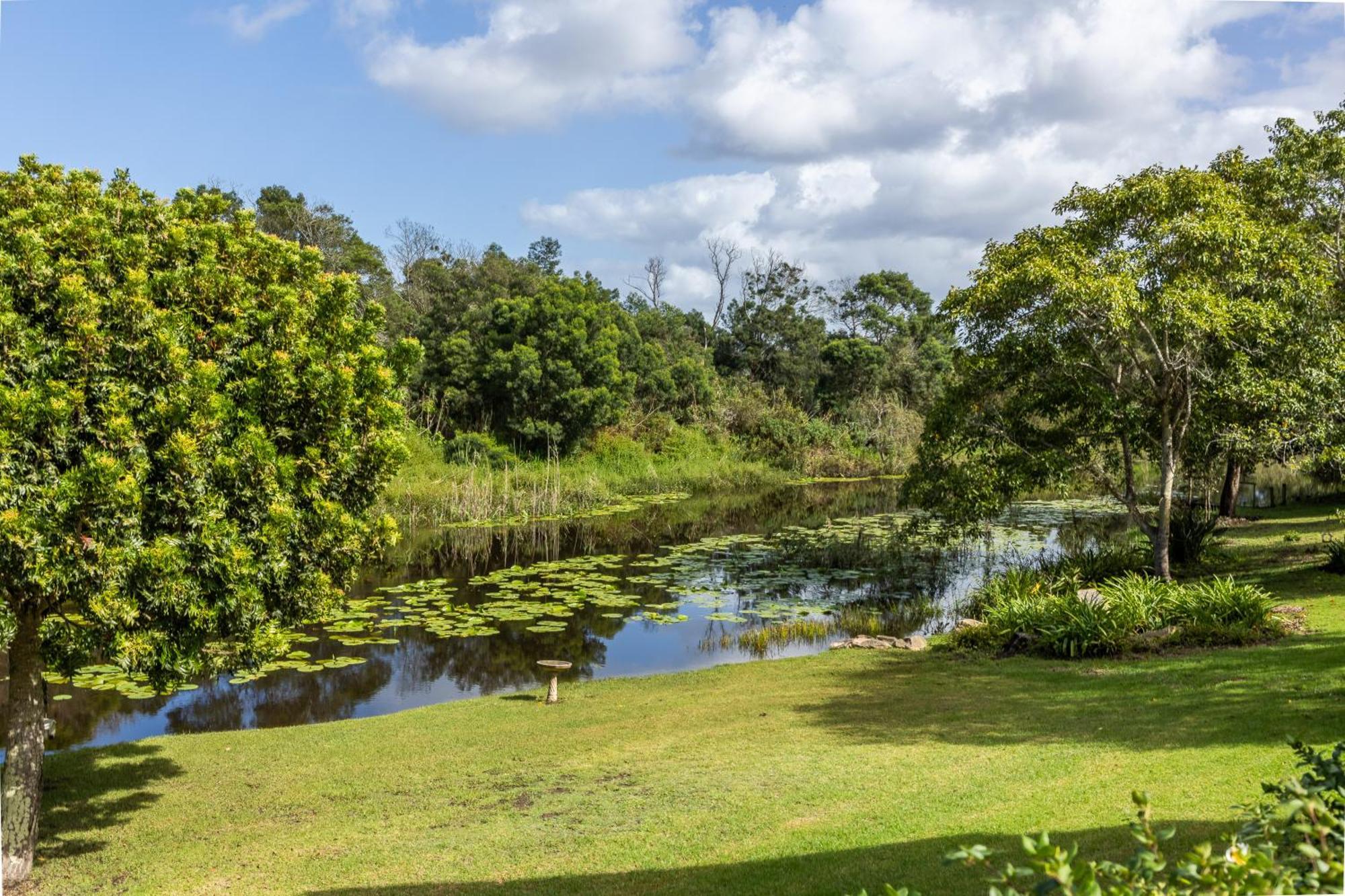 Bitou River Lodge Plettenberg Bay Eksteriør billede